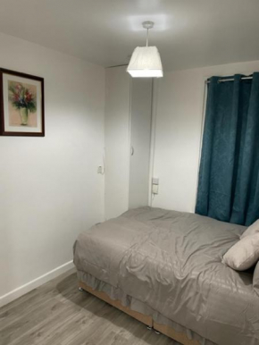 Luxury 2 bedrooms flat Leytonstone